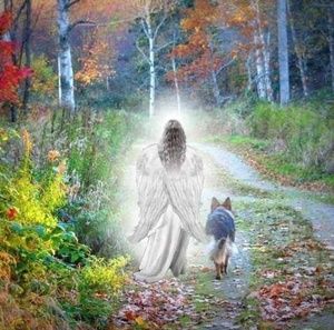 Meet your Posher, Michele